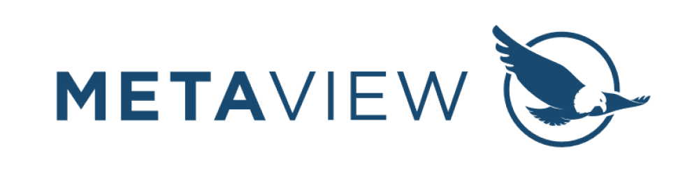 METAVIEW